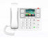 Fanvil X305 Big Button IP Phone 2 SIP Lines, PoE, Dual-Band Wi-Fi, Bluetooth 4.2, and 433MHz Wireless Emergency Button Support, with 3.5" Color Screen