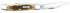 Case XX WR Folding Pocket Knife 3 Blade Stockman 3 7/8 Inches Closed (Amber Bone)