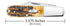 Case Cutlery CA65339: Barlow 6.5 Bonestag