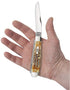 Case WR XX Pocket Knife Burnt 6.5 Bonestag Trapper Item #3573 - (6.5254 SS) - Length Closed: 4 1/8 Inches