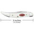 Case Small White Texas Toothpick Pocket Knife