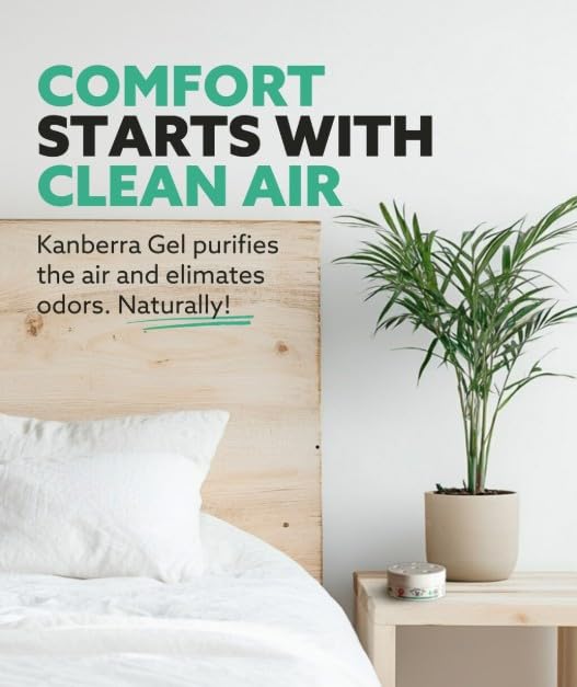 KANBERRA GEL 524001 Natural Air Purifier Gel, 2-Ounce