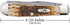 Case XX WR Pocket Knife Trapper With Genuine Bone Handle, Carbon Steel Blade(s), Length Closed: 4 1/8 Inches (Amber Bone)