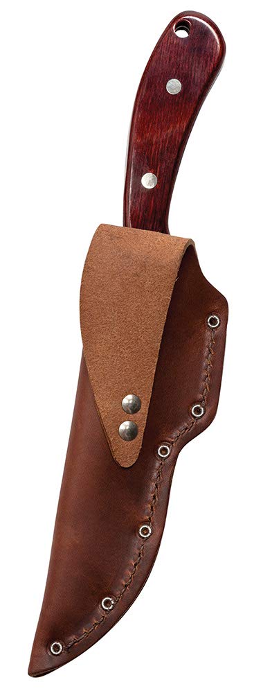 Case WR XX Pocket Knife Rosewood Ridgeback Wood Hunter W/Leather Sheath Item #398 - (Ridgeback Hunter) - Length Closed: 8 1/2 Overall Inches