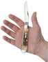 Case XX WR Pocket Knife Trapper With Genuine Bone Handle, Carbon Steel Blade(s), Length Closed: 4 1/8 Inches (Amber Bone)