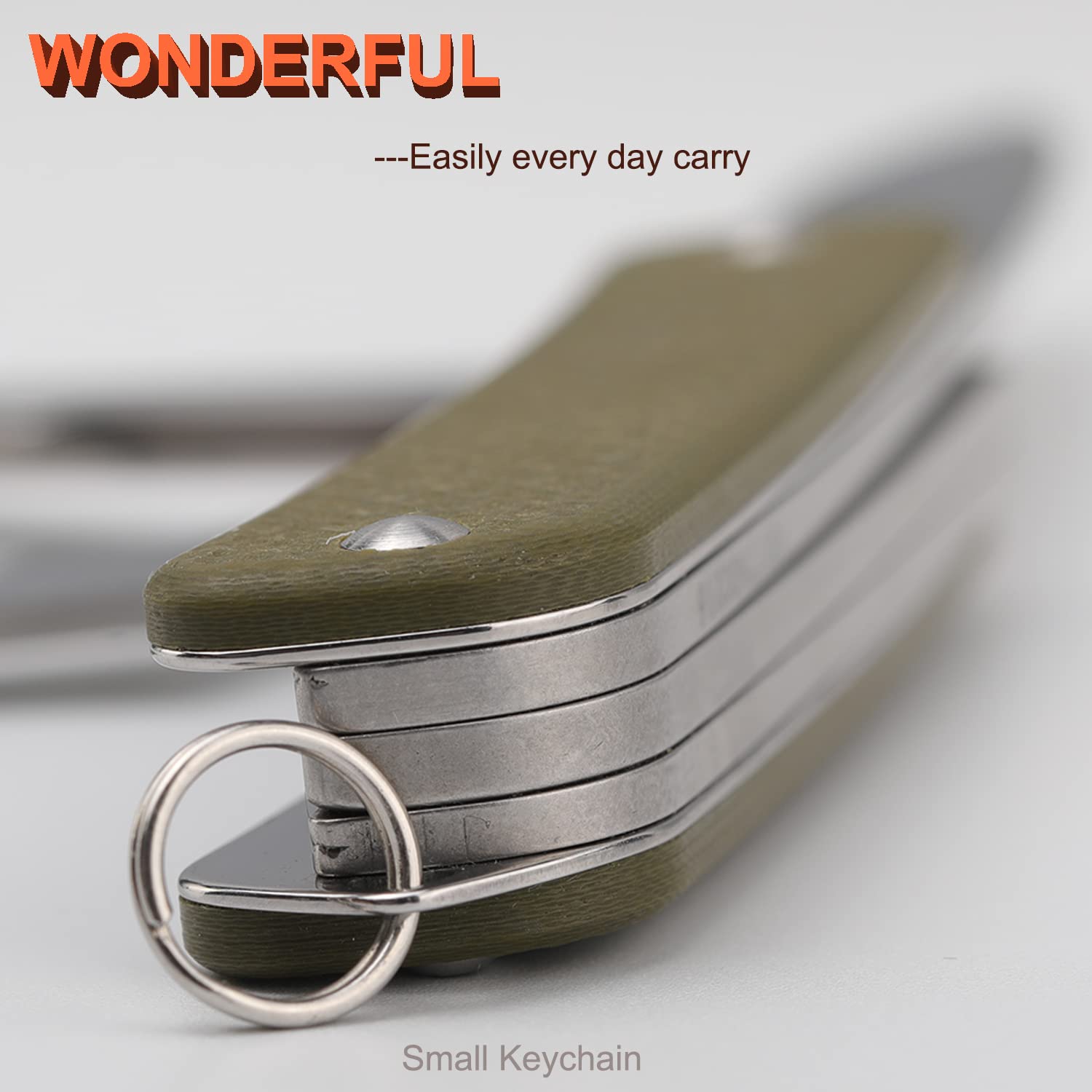 Ruike Small Keychain Knife for Men,Women Gifts,5 in1 Multitool, 12C27 Steel,Mini EDC Tactical Folding Pocket Knives Camping Key Tool,Multifunction,Scissors,Screwdriver,Bottle Opener,Cute Outdoor Gear