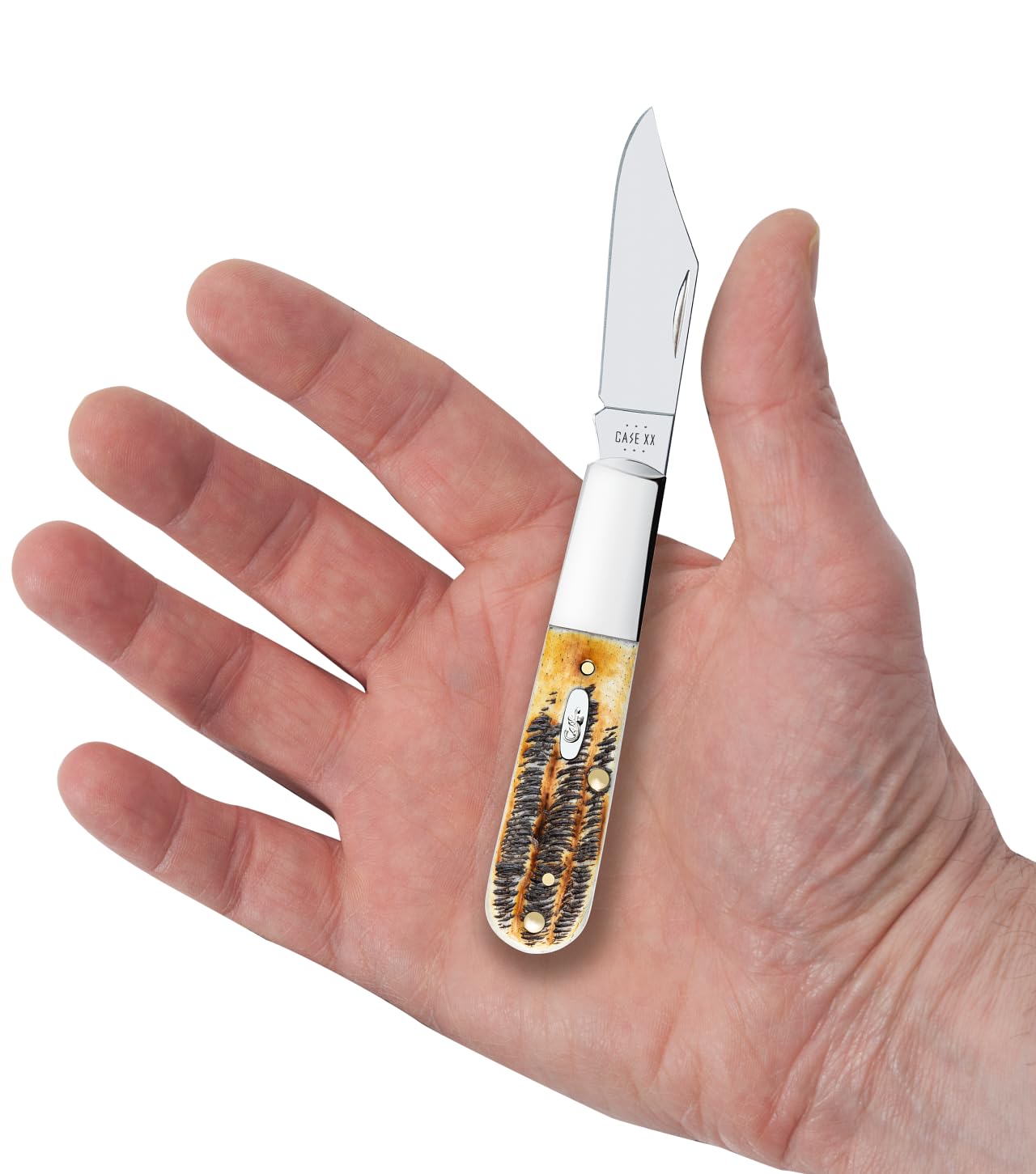 Case Cutlery CA65339: Barlow 6.5 Bonestag