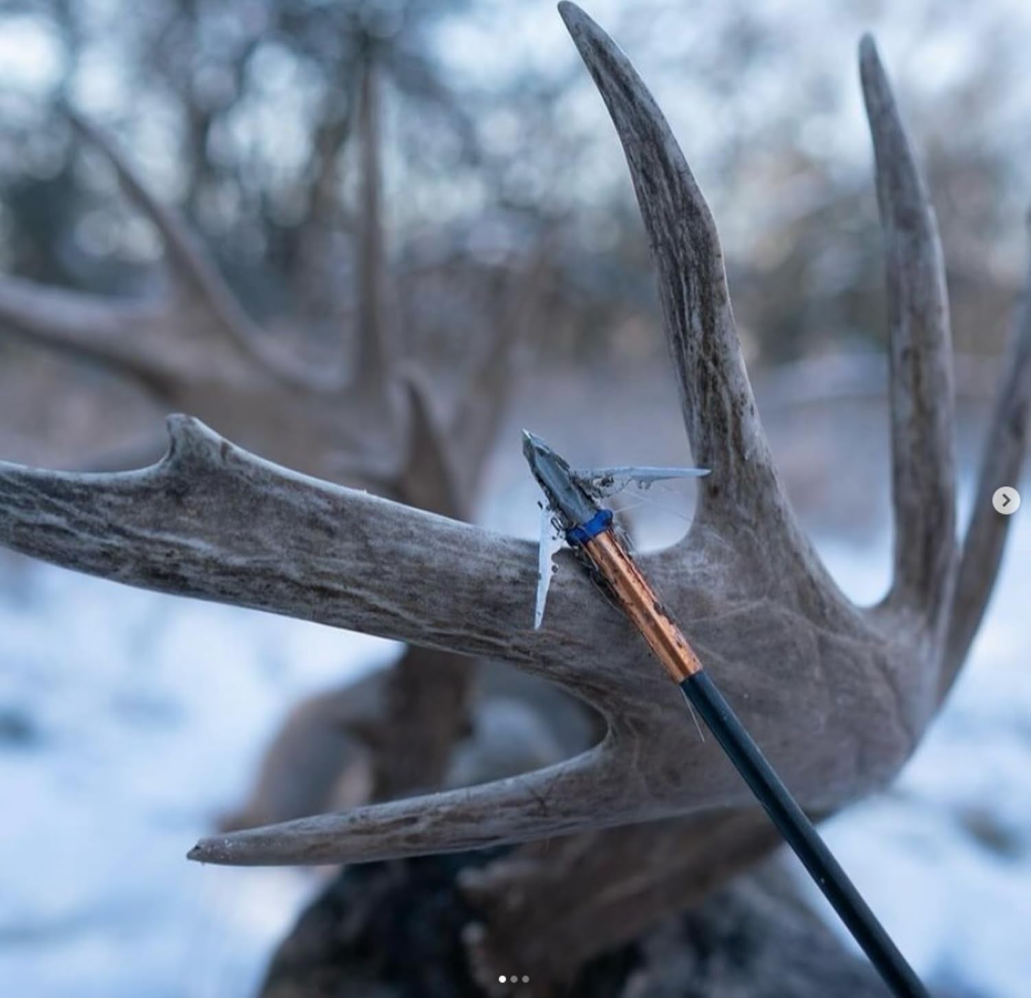 G5 Outdoors Deadmeat 100% Steel Expandable Standard Broadhead (3 Pack + Practice Tip) (Made in The USA)