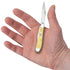 Case WR XX Pocket Knife Yellow Synthetic Peanut Cv Item #030 - (3220 Cv) - Length Closed: 2 7/8 Inches