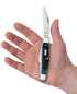 Case Cutlery CA51861: Lg Stockman Mediterranean
