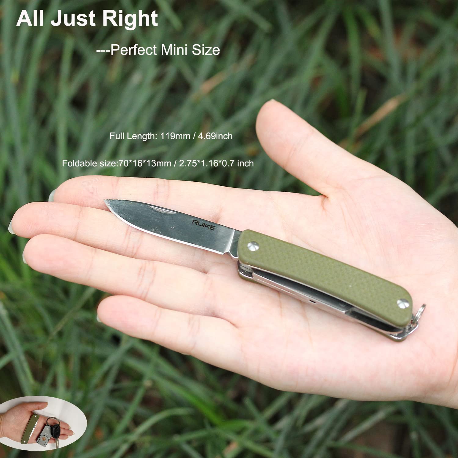 Ruike Small Keychain Knife for Men,Women Gifts,5 in1 Multitool, 12C27 Steel,Mini EDC Tactical Folding Pocket Knives Camping Key Tool,Multifunction,Scissors,Screwdriver,Bottle Opener,Cute Outdoor Gear