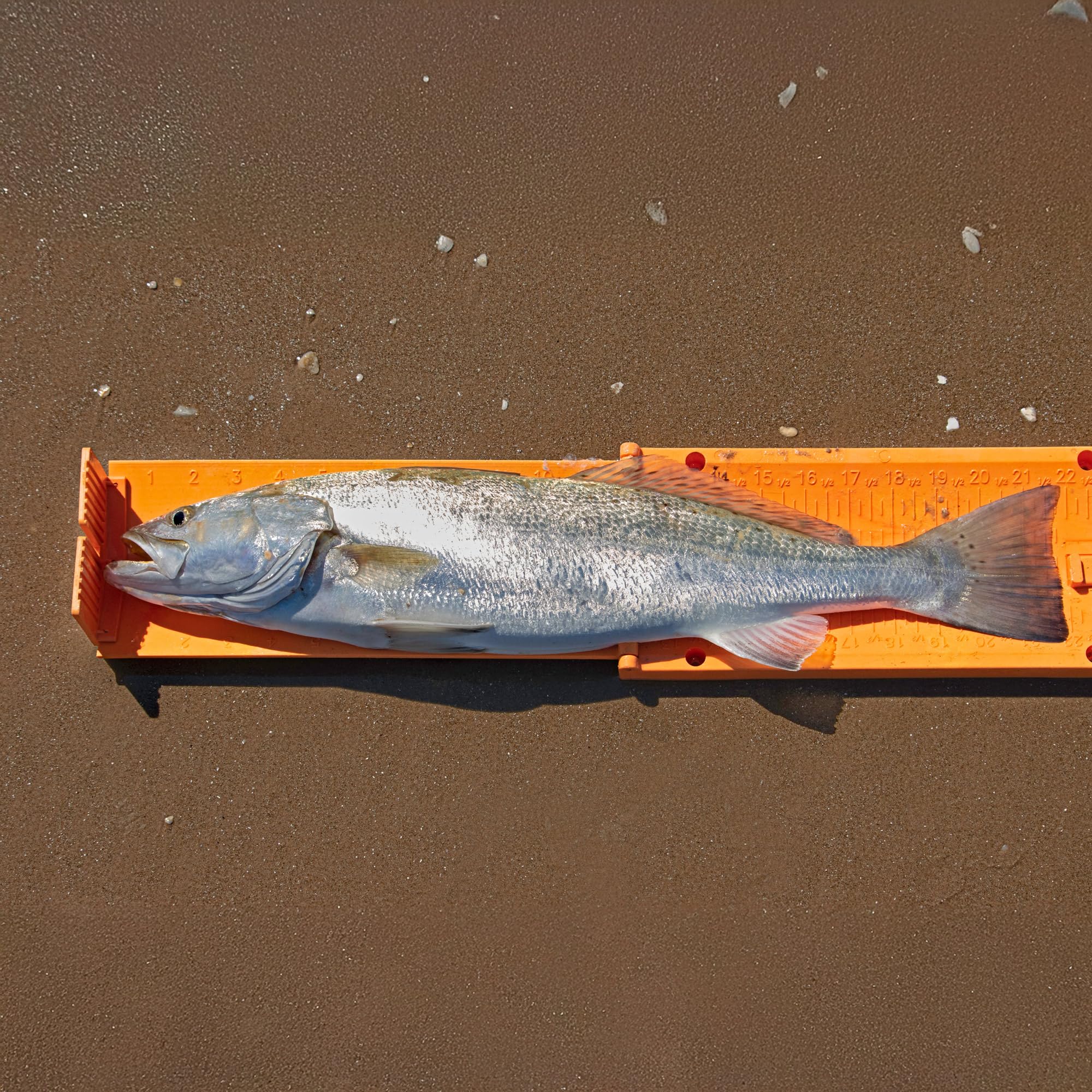 YakGear The Fish Stik - Lime Green