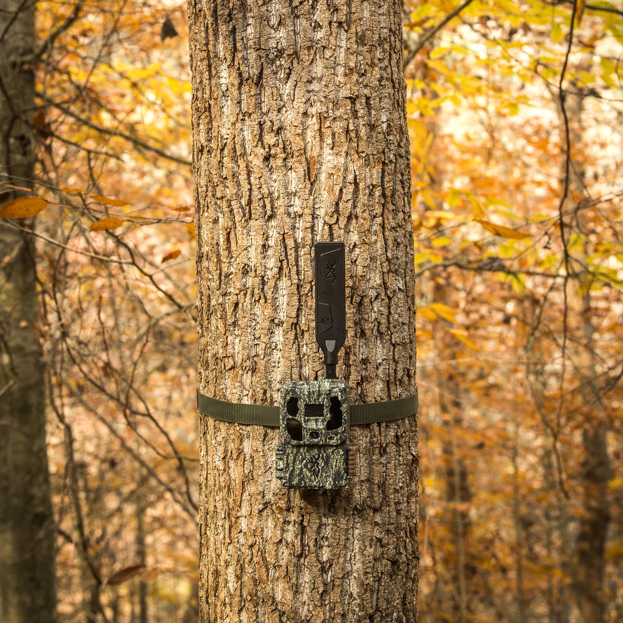 Browning Trail Camera - Defender Wireless Pro Scout Max HD AI 46MP Trail Camera - The Scouting Ally
