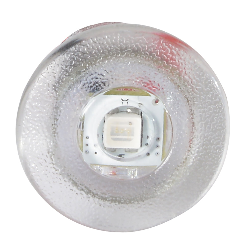 NEWT LED LIVEWELL/ACCENT/COURTESY LIGHT (LUMITEC)