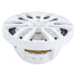 Ds18 Nxl-6 Hydro 6.5" 2-Way Marine Speakers Rgb Led Lights 300W White