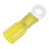 Heat Shrink Ring Terminal 8 Stud Size 25 Pack - Pacer Group TE10-8R-25 Image 1