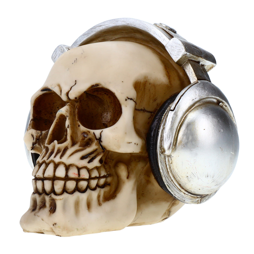 Treasure Cove P714649 Headphone Skull