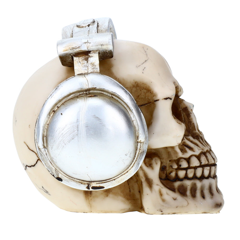 Treasure Cove P714649 Headphone Skull