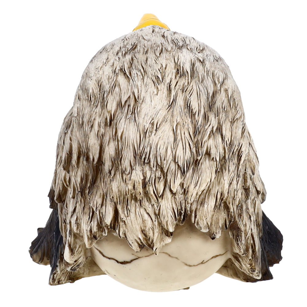 Treasure Cove P754741 Eagle Hat Skull Decoration