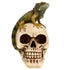 Treasure Cove P784112A Iguana Skull Figurine Image 1