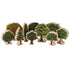 Learning Advantage CTUFF472 Trees Wooden Blocks Set 10 Seasons 2+ Image 1