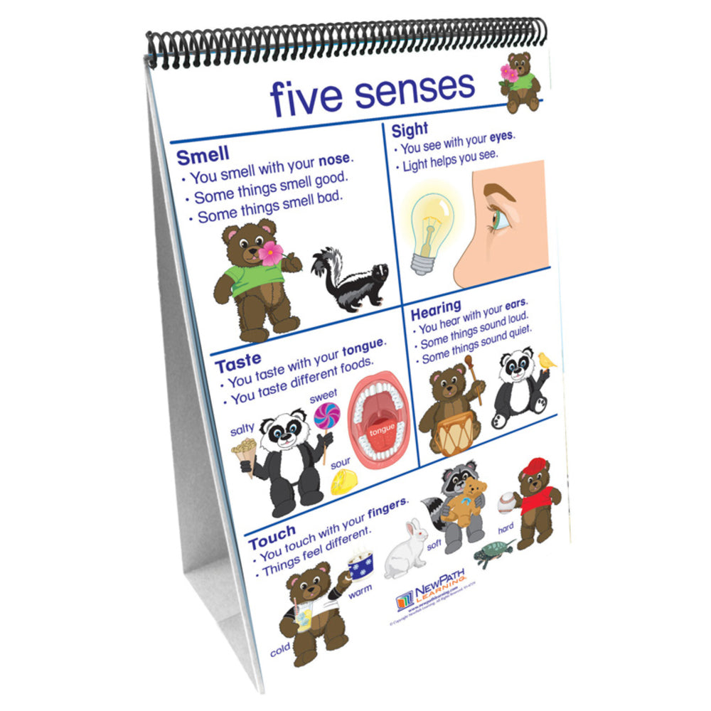 Path Learning NP-340027 Early Childhood Science Readiness Flip Charts - All About Image 1