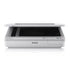 Epson B11B204121 Workforce Ds-50000 Photo Fb A3 600Dpi Usb Capt Pro/Cloud