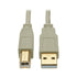 Tripp Lite U022-010-BE USB High Speed Cable M/M 2.0 Image 1