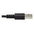 Tripp Lite Connectivity U038-010-Gy-Max Heavy Duty Usb-A To Usb C M/M Charging