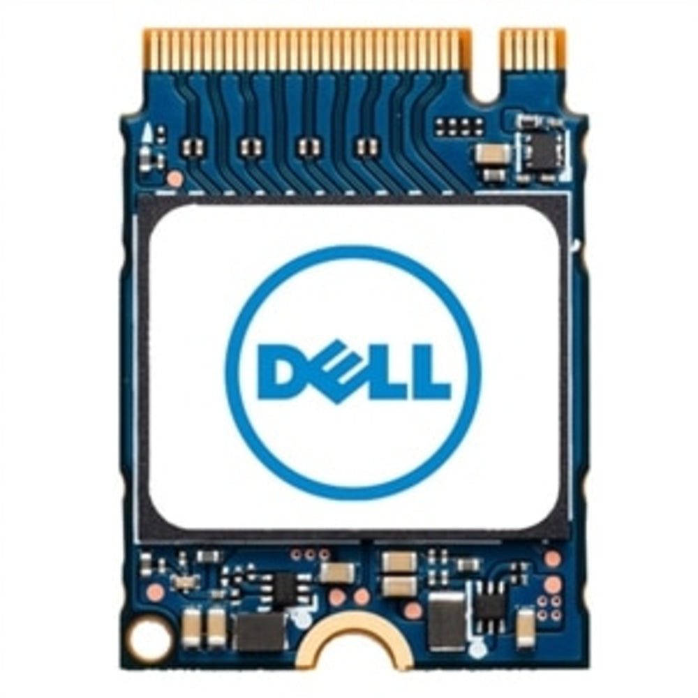 Dell SNP112233P/256G 256Gb M.2 PCIe NVMe Gen 3X4 Class 35 SSD Image 1
