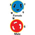 ADAPTERS (MARINCO/GUEST/AFI/NICRO/BEP)