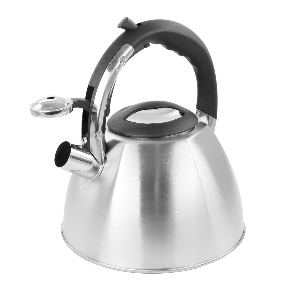 Mr. Coffee 130011.01 Stainless Steel Tea Kettle with Whistling Feature Image 1