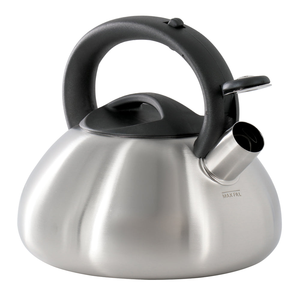 Hometrends 80728.02 Stainless Steel Whistling Kettle 1.9 Liter Bakelite Handles Image 1