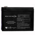 Bright Way Group Bw 12100 F2 0186 12V 10A Sld Ld Acd Bat