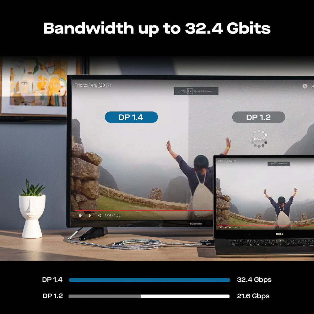 Mobile Pixels 100-1006P01 Cable 4K Display Port Retail