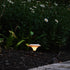 Maxsa 48606 2Pk Solar Martini LED Lamp