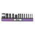 Titan 16036 Impact Torx Plus Bit Set 13-Piece - S2 Alloy Steel Bits, Magnetic Storage Rail