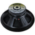 Pyle Ppa15 Subwoofer 15" 8 Ohm Professional