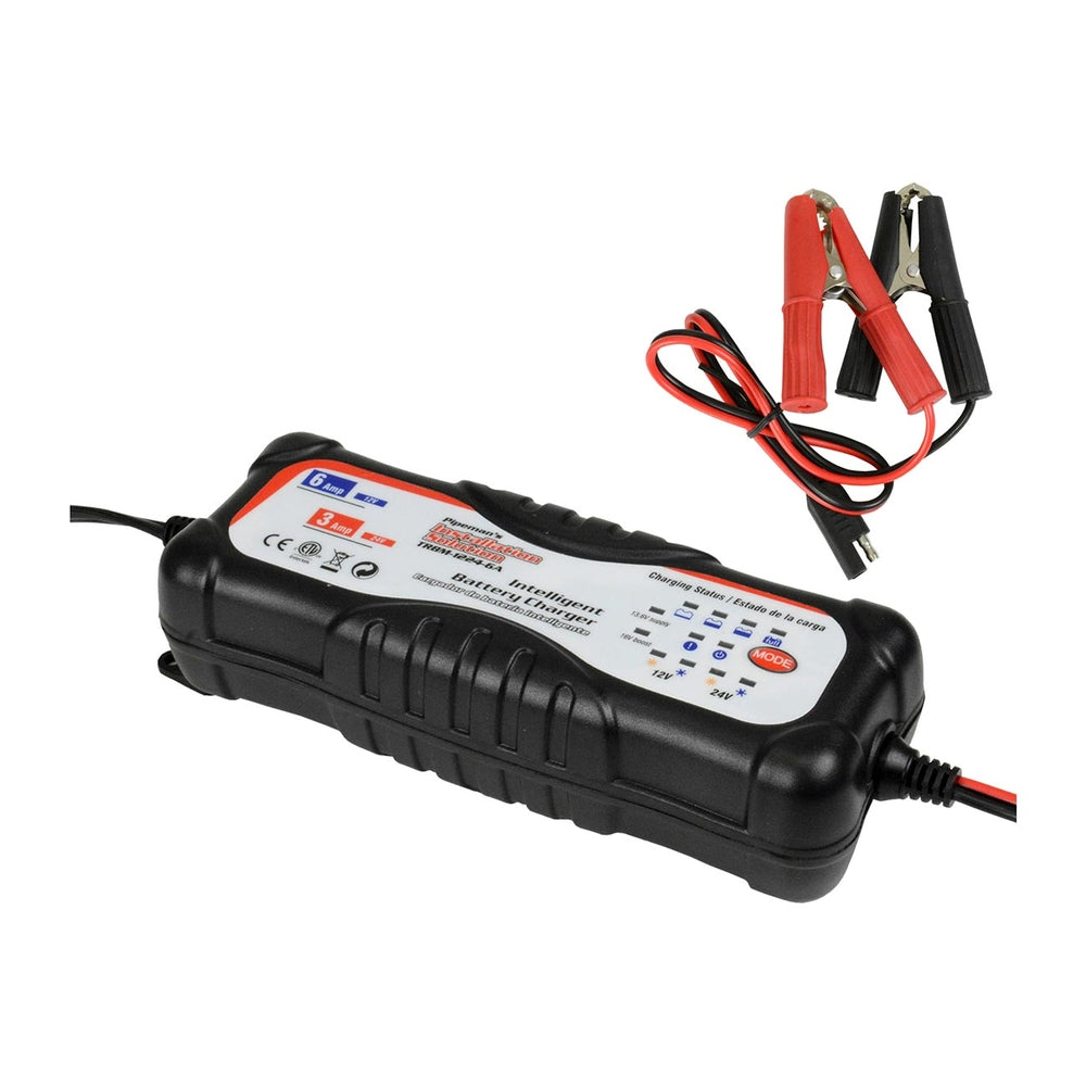 Nippon TRBM-1224-6A Battery Charger 12V & 24V Output Image 1